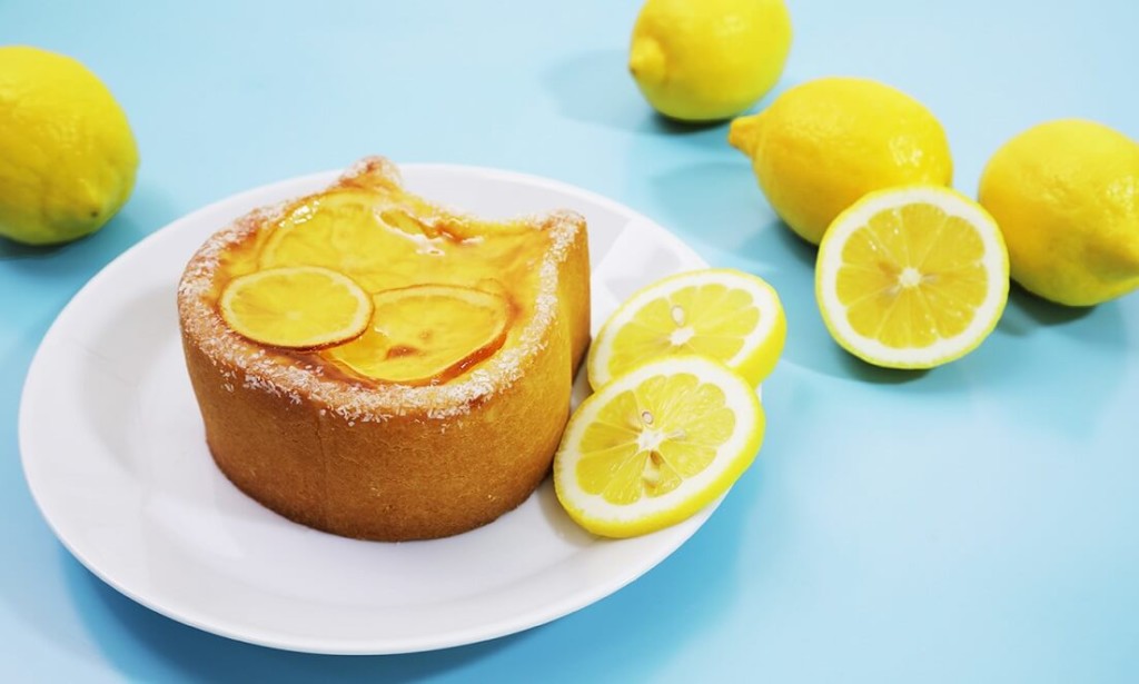 ねこねこチーズケーキ　瀬戸内レモン