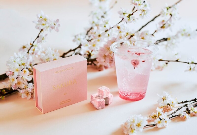 MAISON CACAO　アロマ生チョコ　桜